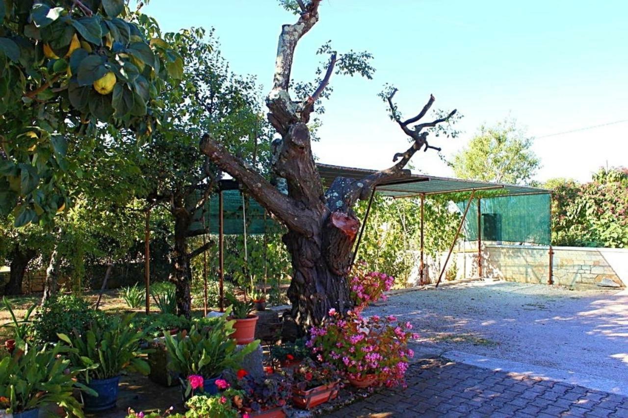 Palmira Poreč Exterior foto